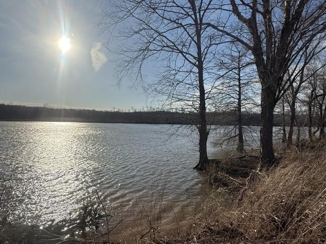 Land for sale in Tennessee