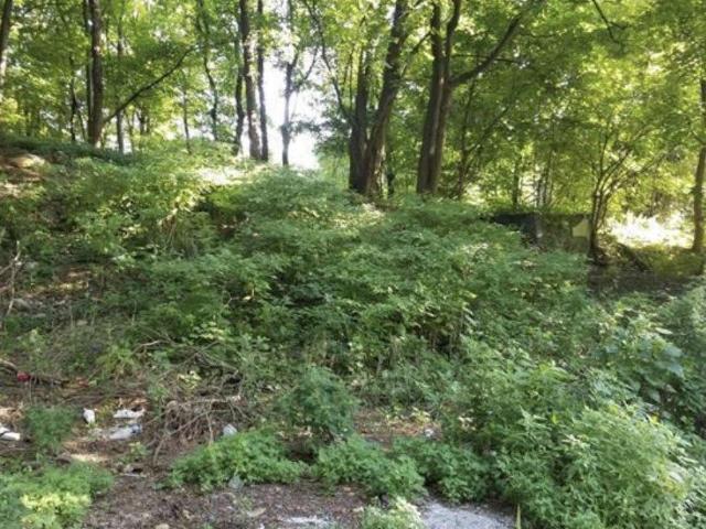 Land for sale in Pottsville, Pennsylvania