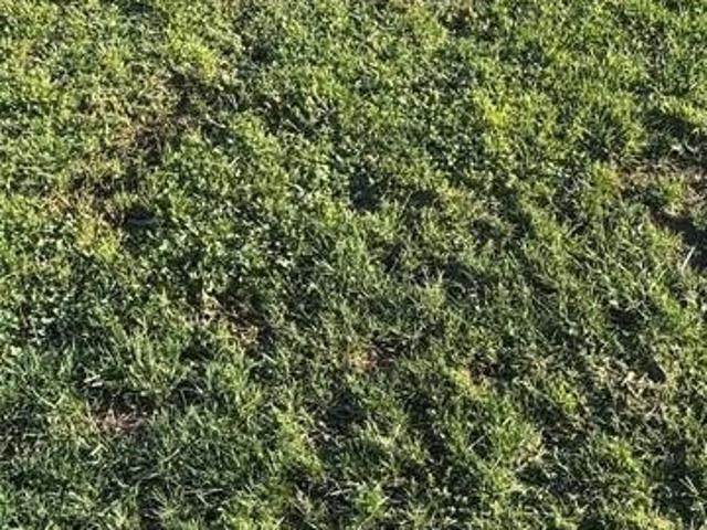 Land for sale in Dewey, Oklahoma