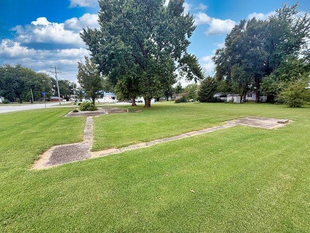 Land for sale in Flora, Clay County