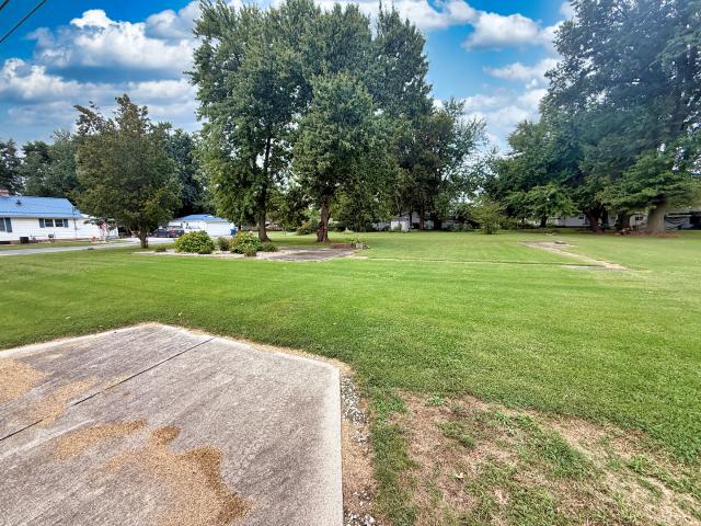 Land for sale in Flora, Clay County
