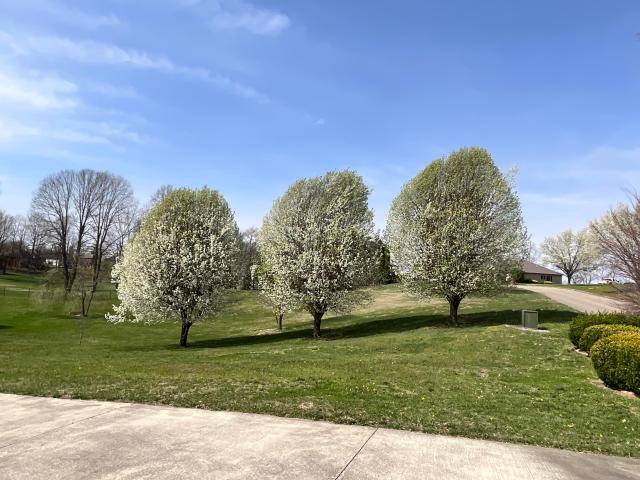 House for sale in Somerset, Kentucky