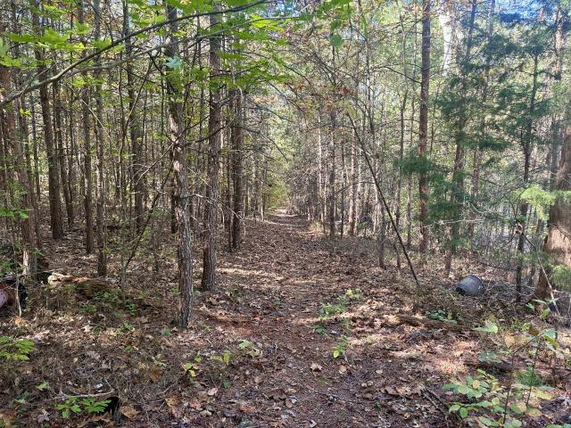 Land for sale in Dayton, East Tennessee