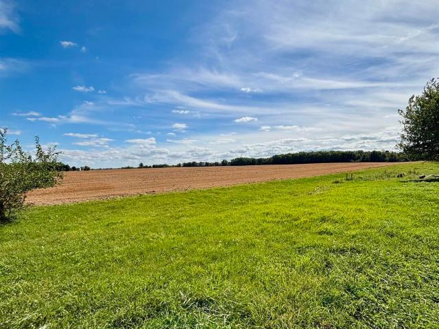 Land for sale in Elmwood Township, Elkland Township