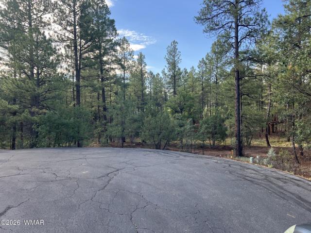 Land for sale in Navajo, Arizona