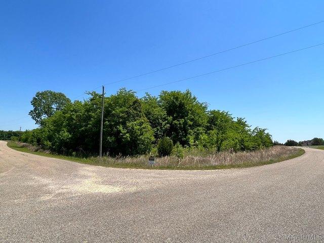 Land for sale in Cecil, Alabama