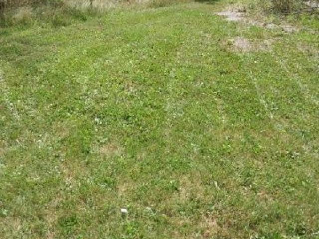 Land for sale in Onaway, Michigan