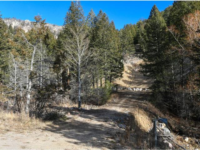 Land for sale in Drake, Colorado