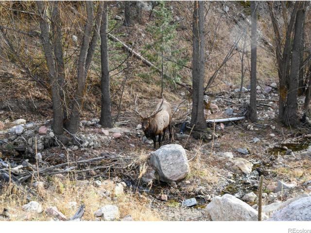 Land for sale in Colorado