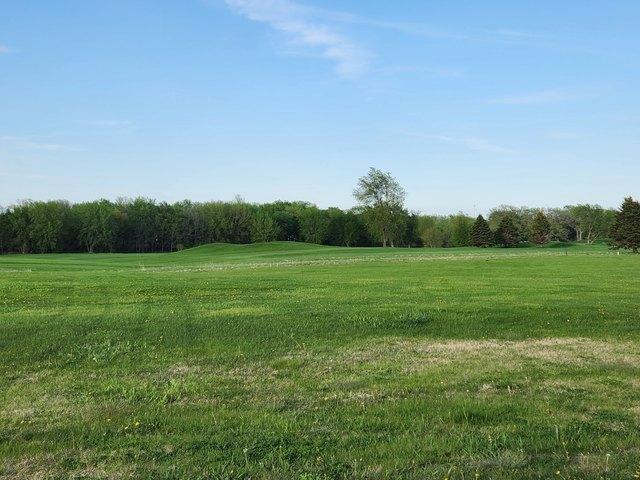 Land for sale in Sheffield, Iowa