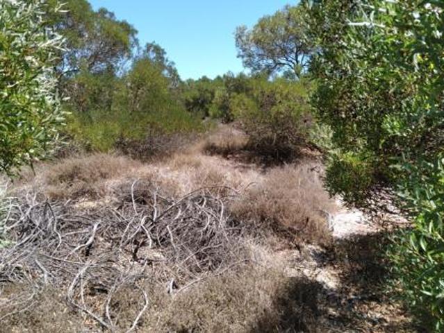 Land for sale in West Coast Village, City of Cape Town