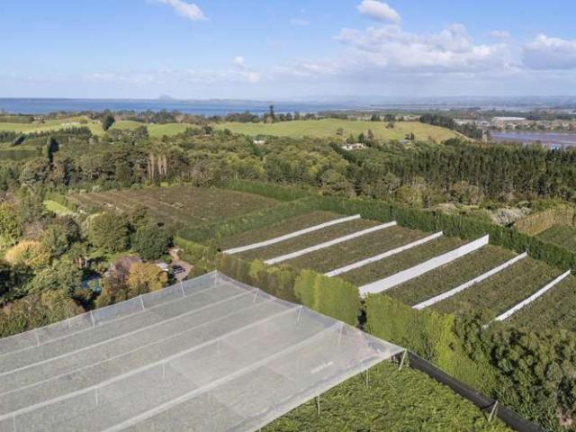 Property for sale in Katikati, Bay Of Plenty