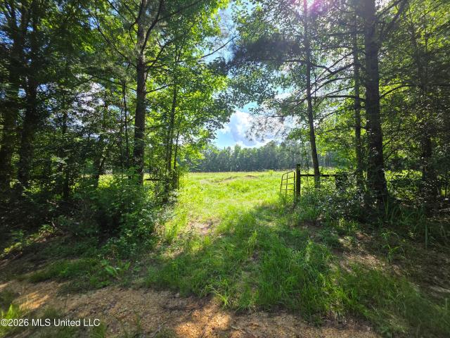 Land for sale in Bogue Chitto, Mississippi
