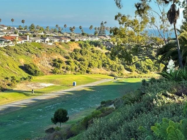 House for sale in San Clemente, California