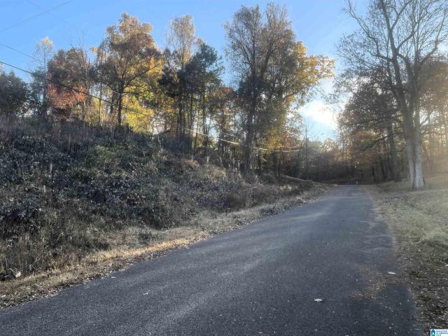 Land for sale in Forestdale, Alabama