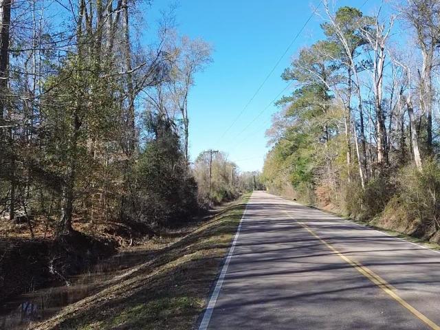 Land for sale in Saint Helena, Louisiana