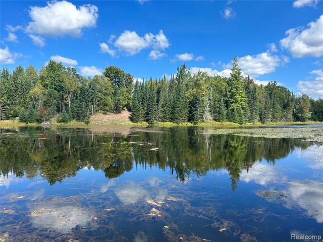 Land for sale in Lupton