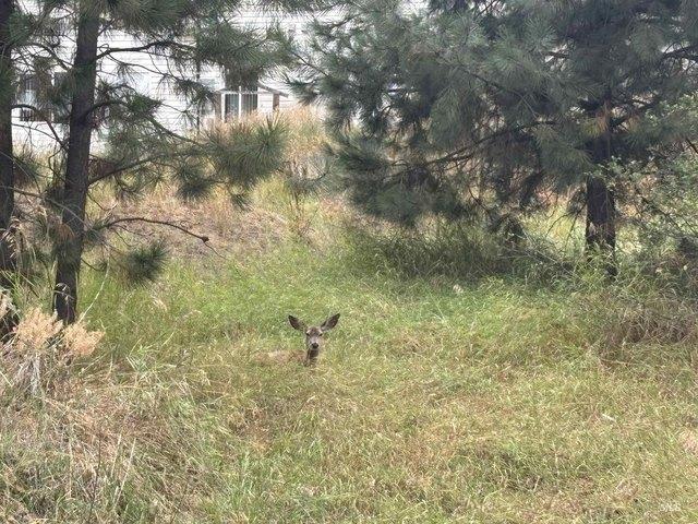 Land for sale in Cascade, Idaho
