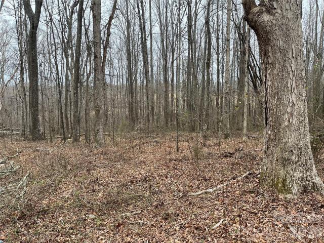 Land for sale in Shelby, Cleveland County