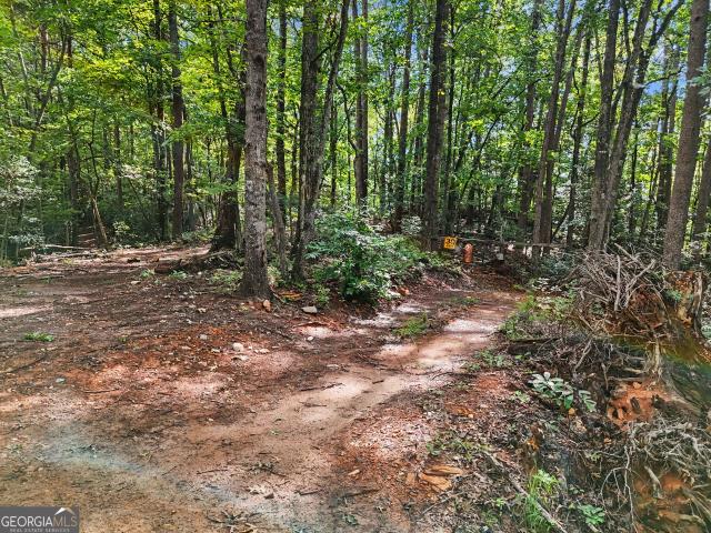 Land for sale in Clarkesville, Georgia