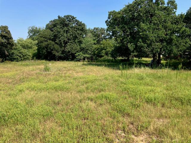 Land for sale in De Leon, Texas