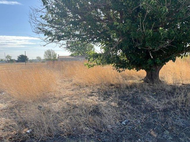 Land for sale in Fritch, Texas