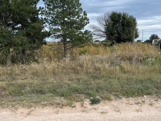 Land for sale in Fritch, Texas