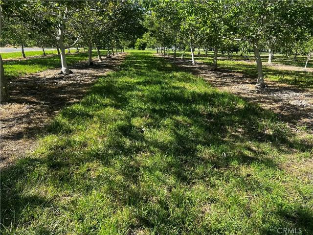 Land for sale in Glenn, California