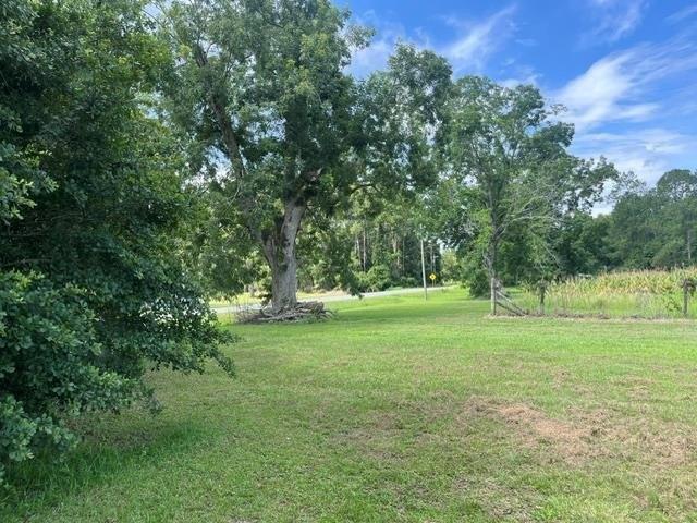 Farm for sale in Adel, Georgia