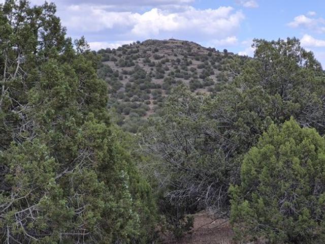 Land for sale in Williams, Arizona