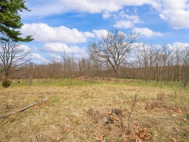 Land for sale in Decatur, Michigan