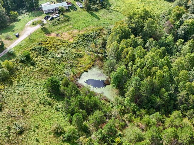 Farm for sale in Livingston, Rockcastle County