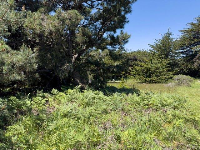 Land for sale in The Sea Ranch, California