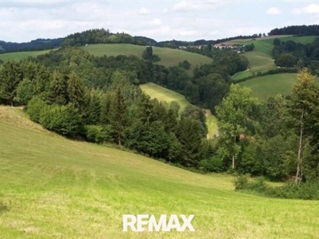 Landwirtschaft kaufen in Kirchschlag in der Buckligen Welt, Niederösterreich