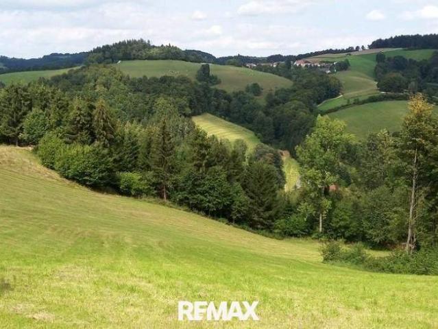 Gewerbe kaufen in Neustadtl an der Donau, Niederösterreich