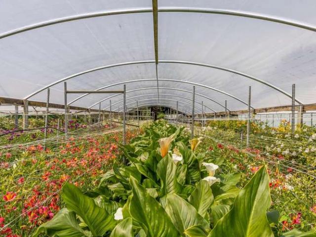 Property for sale in Cable Bay, Nelson Bays