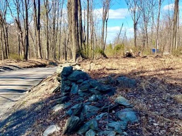 Land for sale in Staatsburg, Town of Hyde Park