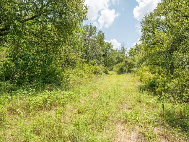 Land for sale in Milam, Texas