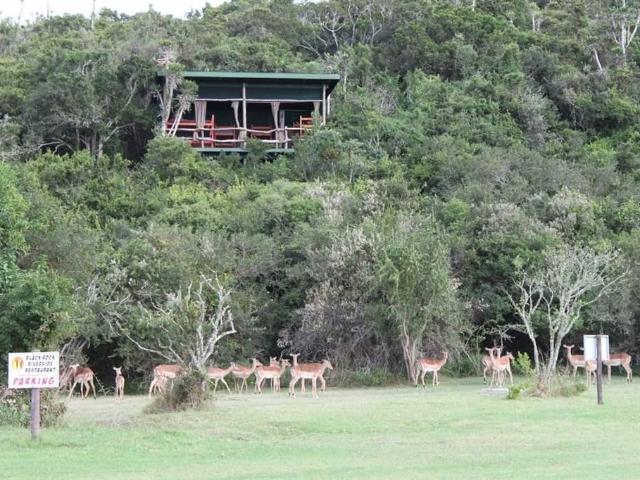 Farm for sale in Bushmans River Mouth, Eastern Cape