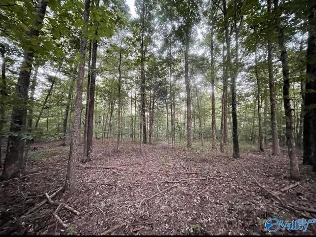 Land for sale in Guntersville, Alabama