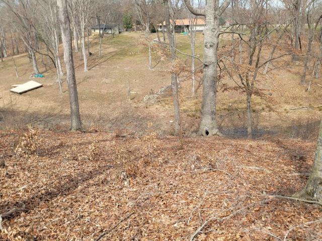 Land for sale in White Pine