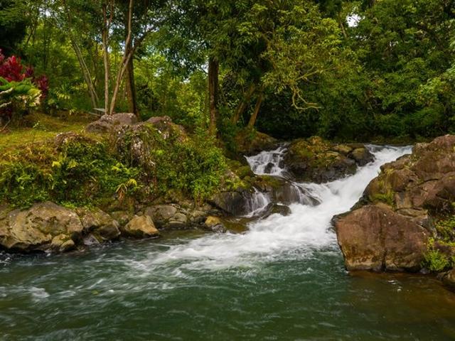 House for sale in Papaikou, Hawaiʻi County