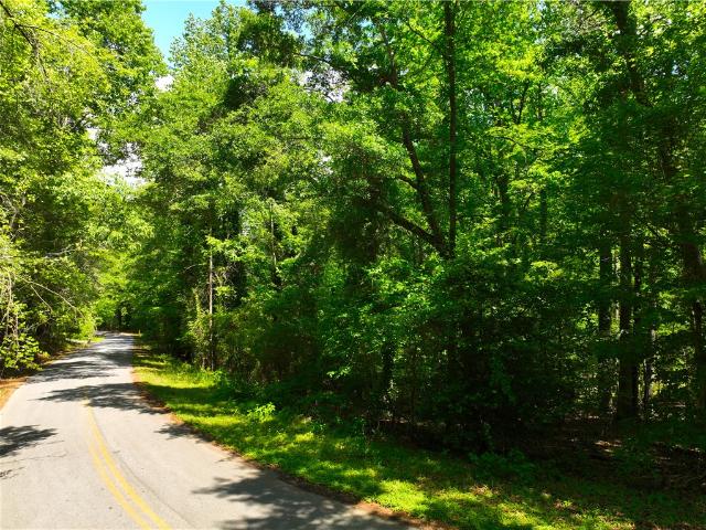 Land for sale in Central, South Carolina