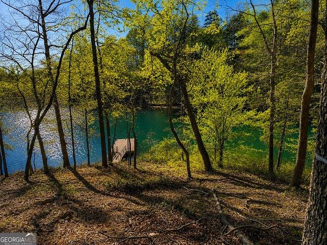 Land for sale in Six Mile Run, South Carolina