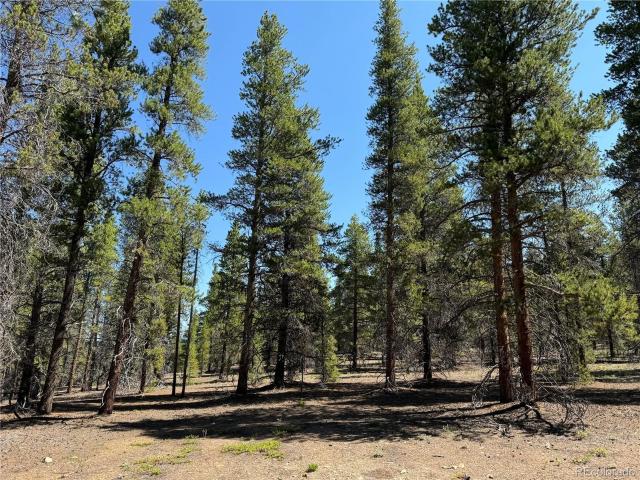 House for sale in Leadville