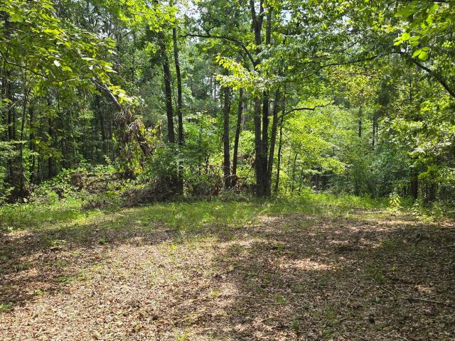Land for sale in Poplar Springs, Blue Springs