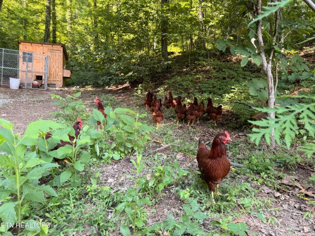 House for sale in Ritchie, Tazewell