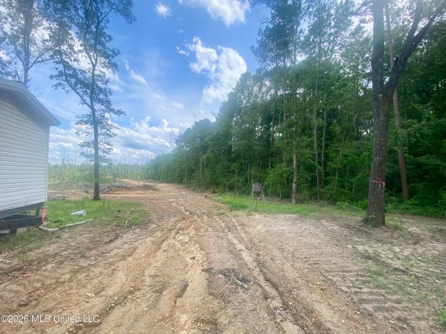 Land for sale in Wesson, Mississippi