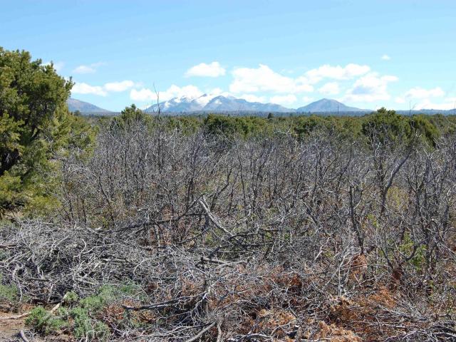 Land for sale in La Plata, Colorado