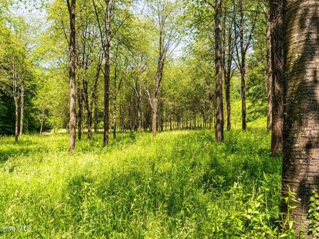 Land for sale in Dearing, Georgia